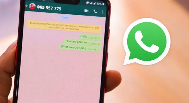 Truco para mandar mensajes por WhatsApp sin agregar al contacto.