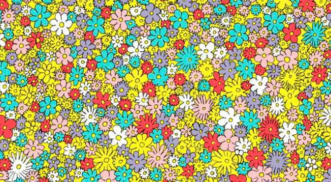 Reto viral: Ubica a la abeja oculta del jardín floral en tan solo 1 minuto Reto viral: Ubica a la abeja oculta del jardín floral en tan solo 1 minuto