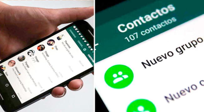 WhatsApp: Aprende a silenciar a usuario sin expulsar del grupo