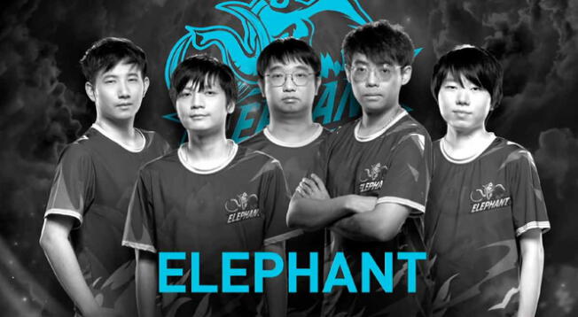 El roster de Elephant tiene un futuro incierto.