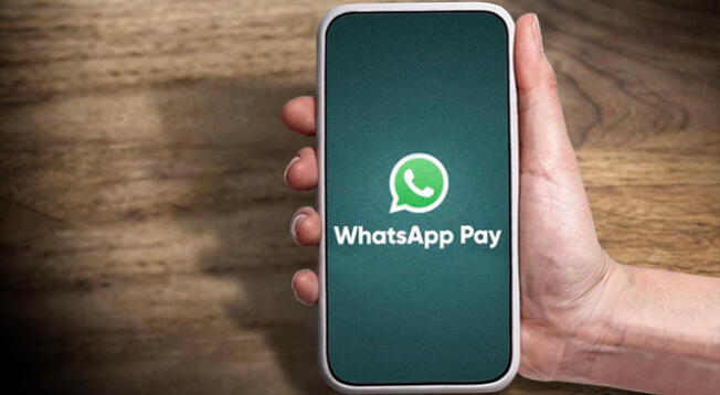 ¿Qué es WhatsApp Pay y para qué sirve?