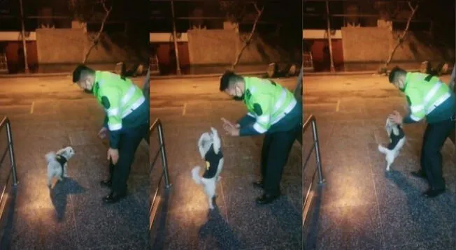 TikTok: policía realiza tierna coreografía junto a perrito llamado 'Copito'