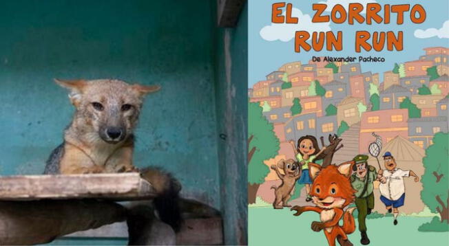 Zorro 'Run Run' será protagonista de una obra de teatro sobre el cuidado animal