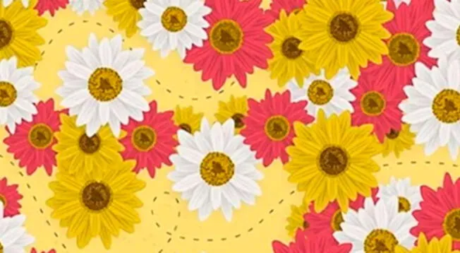 Reto visual, nivel difícil: ¿Podrás hallar a la abeja que cruza la ilustración? Reto visual, nivel difícil: ¿Podrás hallar a la abeja que cruza la ilustración?