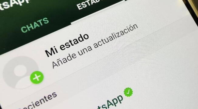 WhatsApp presentó una nueva función para deshacer estados