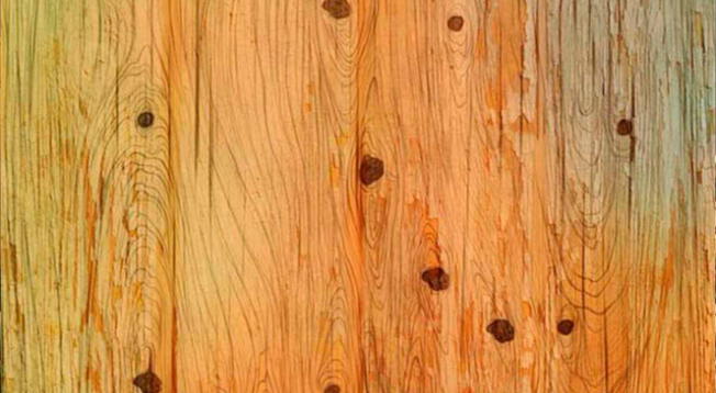 Reto visual: ¿Ves al perro en la madera? Encuéntralo en solo 15 segundos