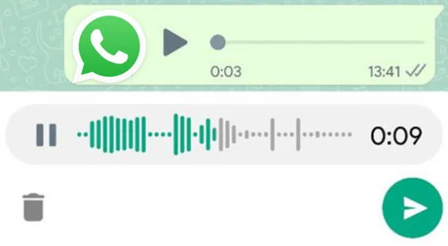 Activa las ondas en los audios de WhatsApp.