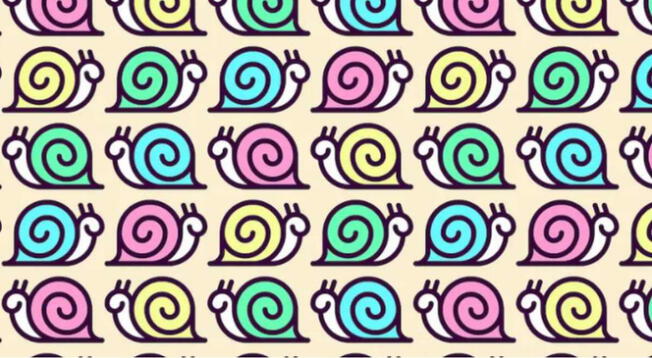 Reto visual Reto visual