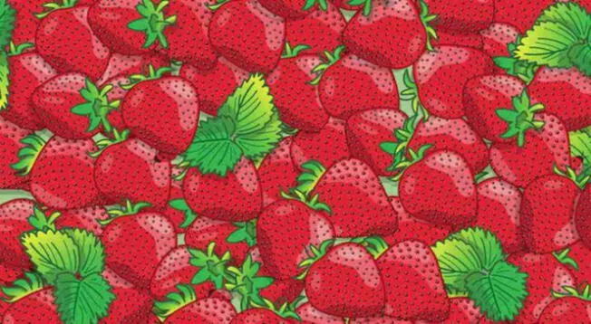 Encuentra las cuatro mariquitas entre las fresas Encuentra las cuatro mariquitas entre las fresas