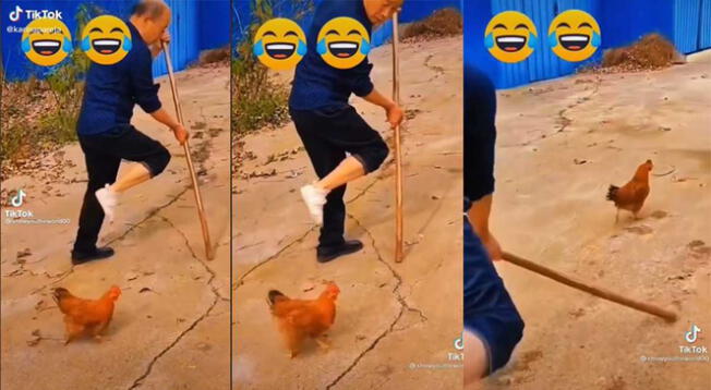 Gallina sorprende al imitar ‘cojear’ a su dueño y divierte a miles de usuarios