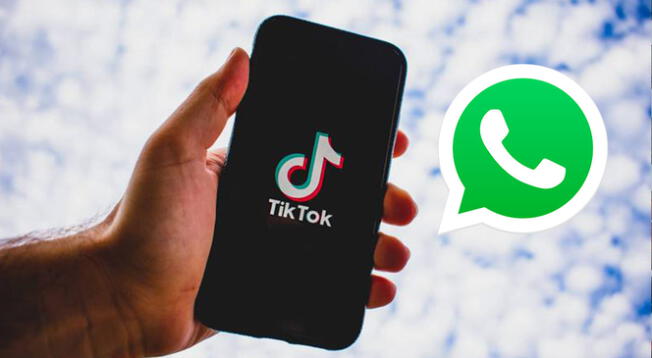 Cómo pasar videos de TikTok a los estados de WhatsApp en sencillo pasos