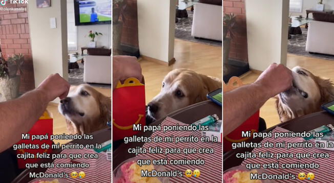 Hombre le hace creer a su perro que está comiendo papitas de Mcdonalds