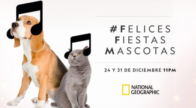 National Geographic: Conoce la música que puede cuidar a tus mascotas de la pirotecnia