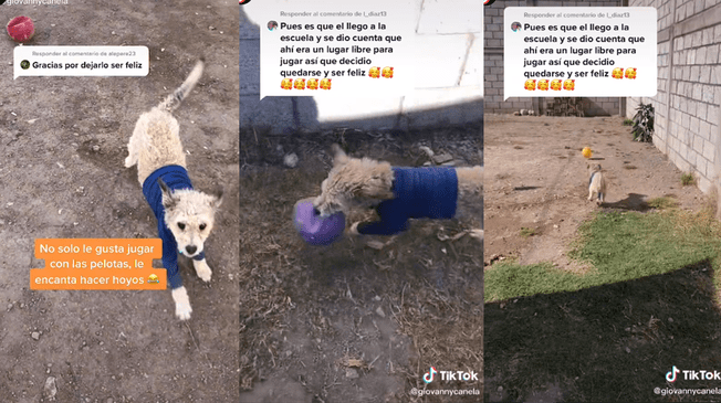 TikTok: Perro futbolista es viral.