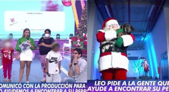 Esto es Guerra encontró a perrito desaparecido de fan y lo sorprenden en vivo