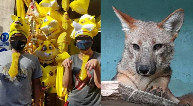 Viral: comerciantes venden gorros del 'Zorrito Run Run' para celebrar el Año Nuevo