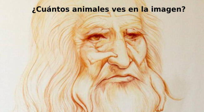 Reto visual nivel avanzado: ¿Cuántas caras ves en la imagen de Da Vinci?