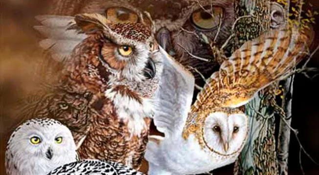Reto visual: ¿Cuántas aves ves? Soluciona el acertijo en 10 segundos Reto visual: ¿Cuántas aves ves? Soluciona el acertijo en 10 segundos