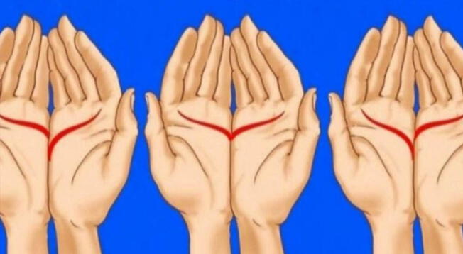 Test viral: ¿Cómo son las líneas de tu mano? tu respuesta revelará tu verdadera forma de amar Test viral: ¿Cómo son las líneas de tu mano? tu respuesta revelará tu verdadera forma de amar