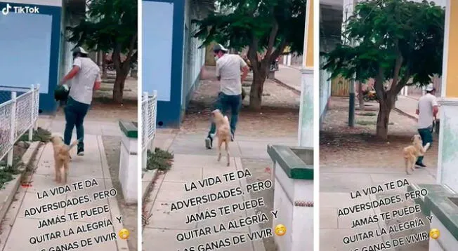 TIK TOK: Perrito imita a joven que le dio comida al verlo abandonado y se vuelve viral
