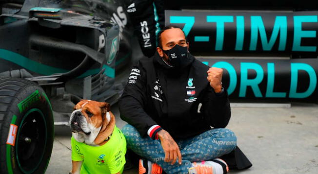 Lewis Hamilton junto a su bulldog inglés.