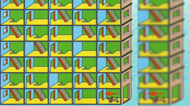 Reto visual: encuentra el camino correcto a casa