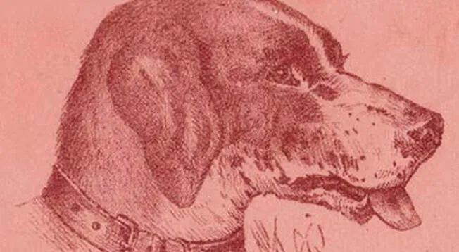 Reto visual: ¿Dónde está el dueño del perro? Solo 15% resolvió el acertijo Reto visual: ¿Dónde está el dueño del perro? Solo 15% resolvió el acertijo
