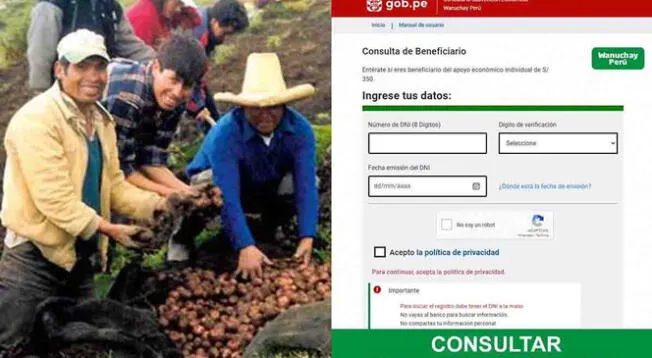 Conoce si accedes al Bono Agrario 350 que entrega el Gobierno de Pedro Castillo