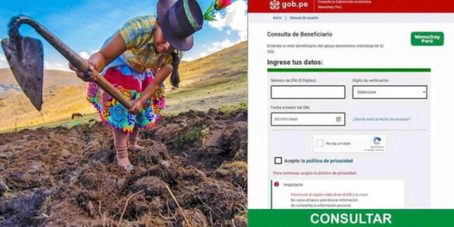 Cuáles son los requisitos para acceder al bono y cómo cobrar HOY