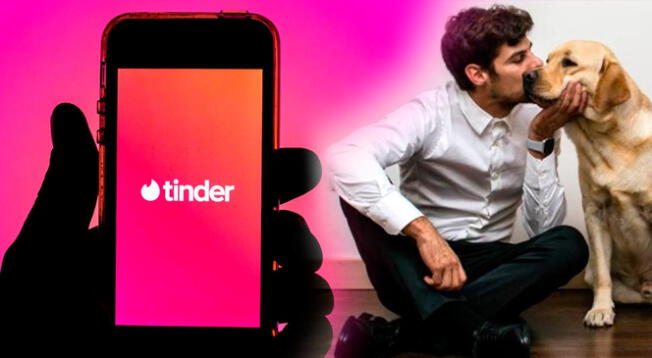 Por qué las fotos con perros funcionan en Tinder y cuáles otras usar