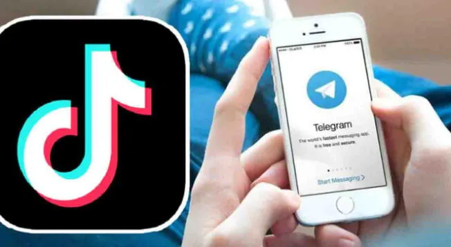 Revisa como descargar videos de TikTok por medio de Telegram