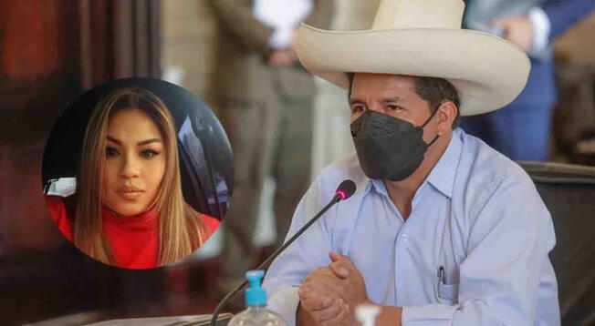 Pedro Castillo habló de las supuestas reuniones con Karelim López