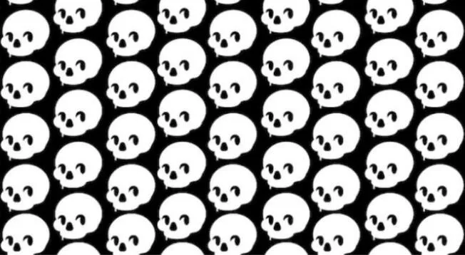 Reto visual de terror: Encuentra la calavera diferente al resto en 3 segundos Reto visual de terror: Encuentra la calavera diferente al resto en 3 segundos