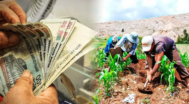 Conoce el LINK oficial del Bono Wanuchay de 350 soles Conoce el LINK oficial del Bono Wanuchay de 350 soles