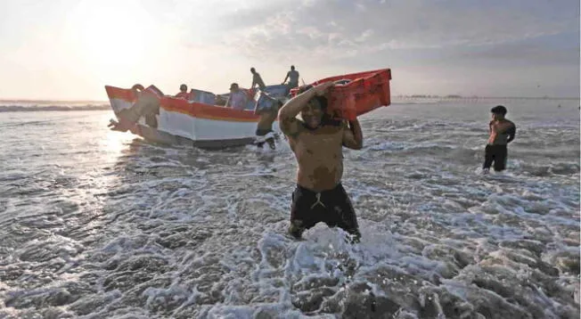 El Bono Pescadores Artesanales podría llegar pronto.