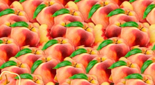 Reto visual: trata de localizar la manzana entre los duraznos; solo el 10% lo resolvió