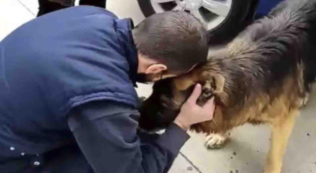 Perrito regresó a casa luego de estar perdido por 7 años