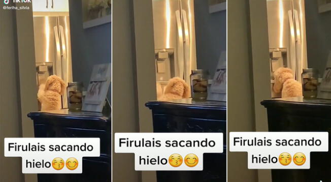 El perrito fue captado sacando hielo de la refri de sus dueños y se vuelve viral en TikTok