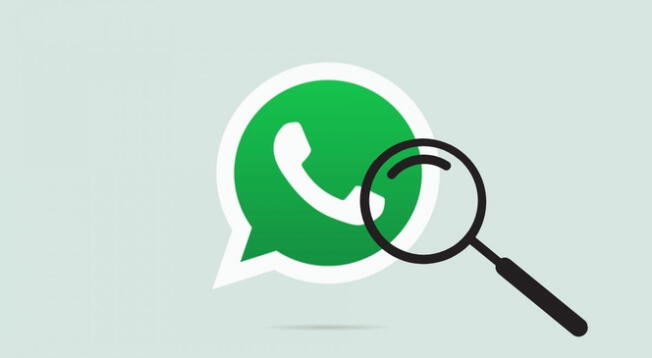 WhatsApp: incluyen nuevo botón de búsqueda en versión beta de la app