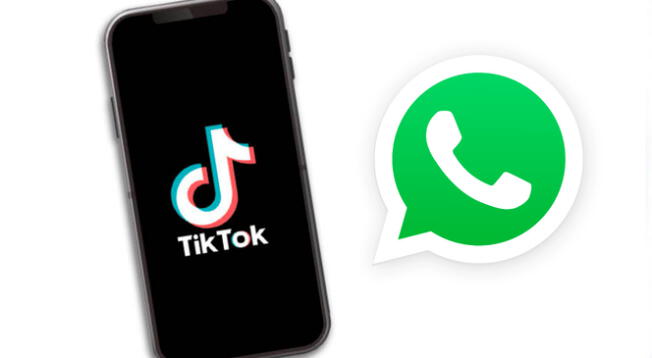 Así es el truco para descargar videos de TikTok hacia estados de WhatsApp