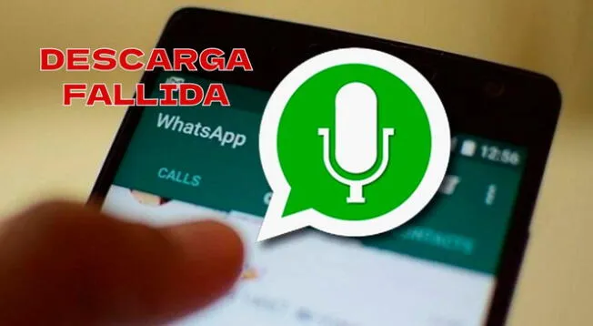 Conoce cómo descargar audios de WhatsApp si tienes problemas con la app