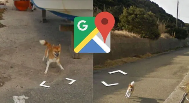 Google Maps capta a pequeño perro persiguiendo un carro durante varios minutos Google Maps capta a pequeño perro persiguiendo un carro durante varios minutos