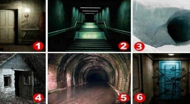 ¿Qué imagen te aterra más? Responde el temible test viral y revela cuál es tu mayor miedo ¿Qué imagen te aterra más? Responde el temible test viral y revela cuál es tu mayor miedo