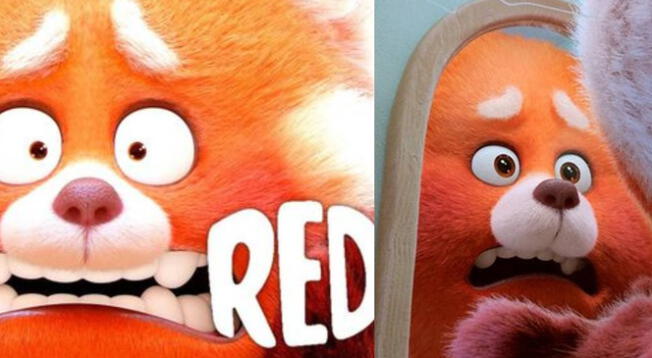 'Red' de Disney y Pixar: ¿Dónde mirar la nueva película completa?