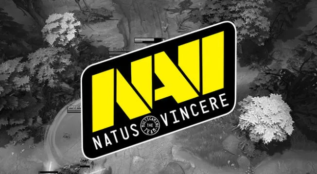 Natus Vincere reveló el futuro de sus equipos profesionales