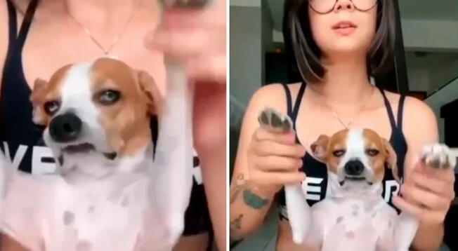 TikTok: Perrito es viral tras hacer notar su aburrimiento al bailar junto a su dueña - VIDEO