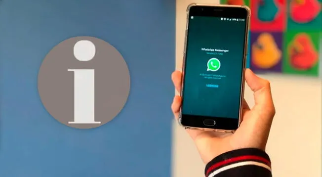 WhatsApp: cuál es el significado de la