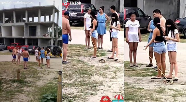 Mujer se vuelve viral por sacar a pasear a su cangrejo; video es viral