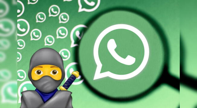 Activa el modo ninja de WhatsApp en pocos segundos.