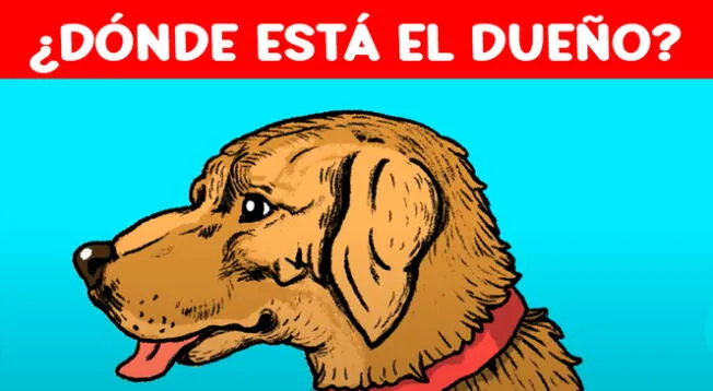 Tienes 10 segundos para encontrar el dueño del perro.